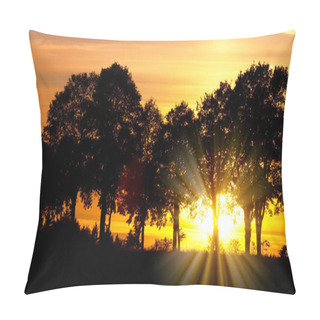 Personality  Sunset With Alley Of Lime Tree Pillow Covers