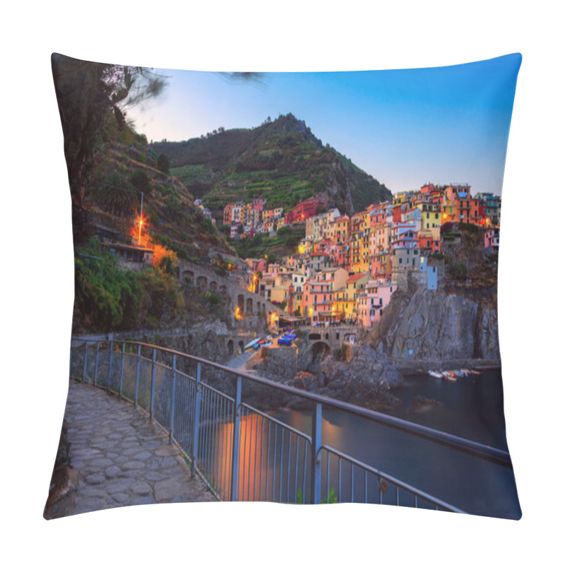 Personality  Manarola village at twilight, Cinque Terre, Italy pillow covers