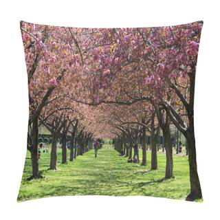 Personality  Colonnade Of Cherry Blossom Trees In Full Bloom At The Brooklyn Botanic Garden, New York City. Pillow Covers