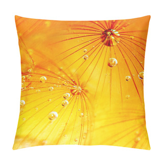 Personality  Abstract Dandelion Flower Background Pillow Covers