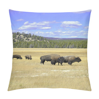 Personality  American Bison, Yellowstone National Park, Rocky Mountains Pillow Covers