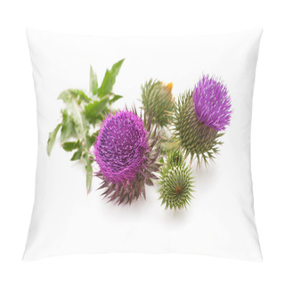 Personality  Milk Thistle Plant Pillow Covers