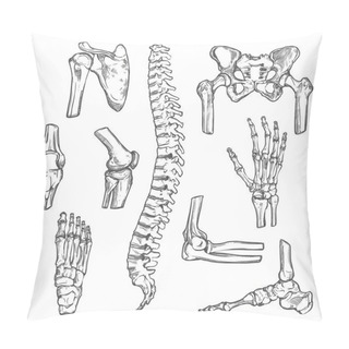 Personality  Vector Sketch Icons Of Human Body Bones And Joints Pillow Covers