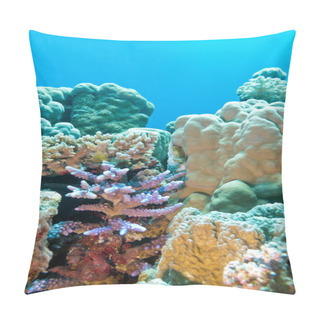Personality  Coral Reef With Hard Coral Violet Acropora At The Bottom Of Trop Pillow Covers