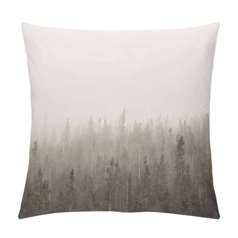 Personality  Horizontal Shot Of A Foggy Forest With Tall Trees Covered In Mist Pillow Covers