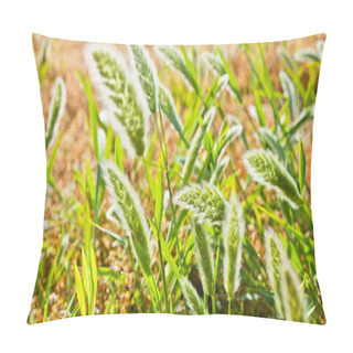 Personality  Field Of Grass Pillow Covers