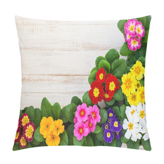 Personality  Colorful Primula Flowers In Pots Pillow Covers