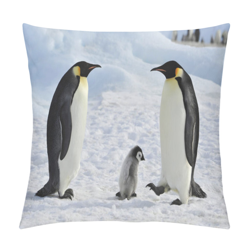 Personality  Emperor Penguins With Chick Pillow Covers