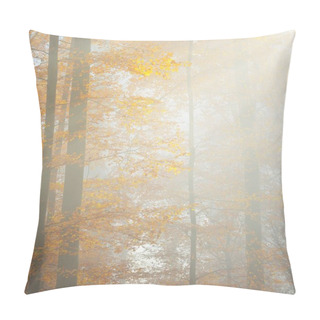 Personality  Mysterious Morning Fog In A Beautiful Beech Tree Forest. Autumn Trees With Yellow And Orange Foliage. Heidelberg, Germany Pillow Covers