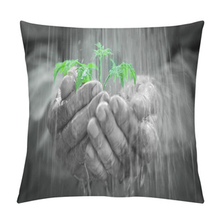 Personality  Young Plant In The Rain Pillow Covers