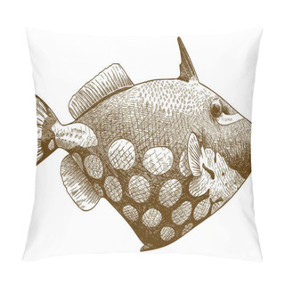 Personality  Engraving Antique Illustration Of Clown Triggerfish Pillow Covers