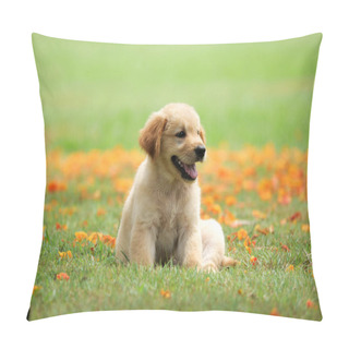 Personality  Cute Puppy Golden Retriever Sitting In The Park. Pillow Covers