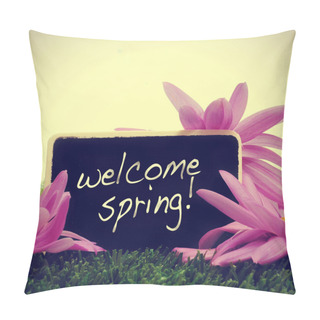 Personality  Welcome Spring Pillow Covers