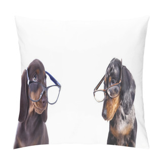Personality  Puppy Dachshund In Glasses  Pillow Covers