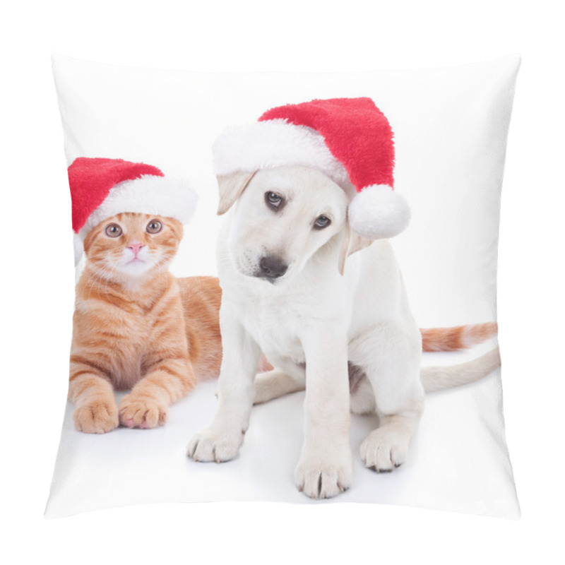 Personality  Christmas Pets Dog and Cat pillow covers