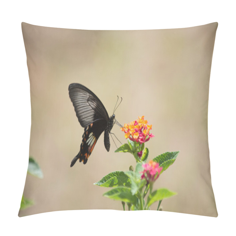 Personality  Butterfly Pillow Covers