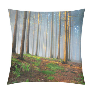 Personality  Sun Rays In A Foggy Misterious Forest Pillow Covers