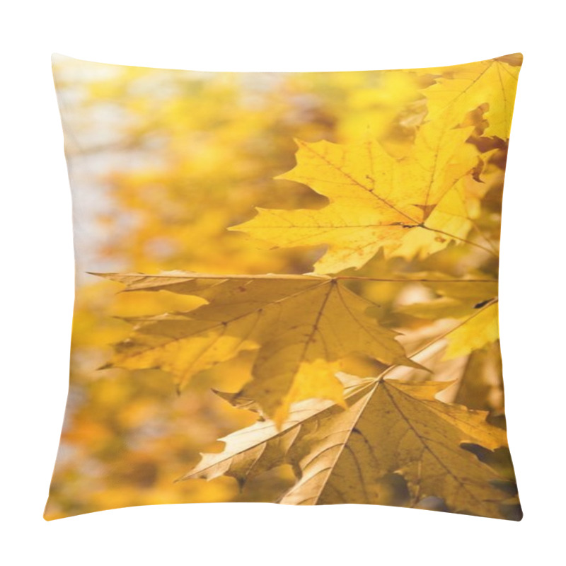 Personality  Yellow Maple Leaves Pillow Covers