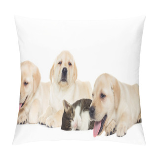 Personality  Puppy And Kitten Sleeping Pillow Covers