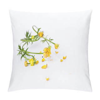 Personality  Fading Yellow Buttercup Flowers With Falling Petals On A White Background. Pillow Covers