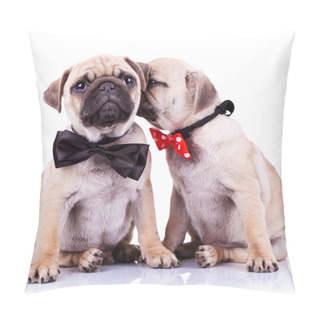 Personality  Adorable Pug Puppy Dogs Couple Pillow Covers