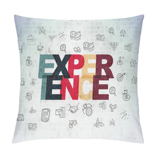 Personality  Business Concept: Experience On Digital Data Paper Background Pillow Covers
