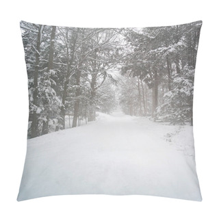 Personality  Pathway Through Snow Covered Forest Pillow Covers