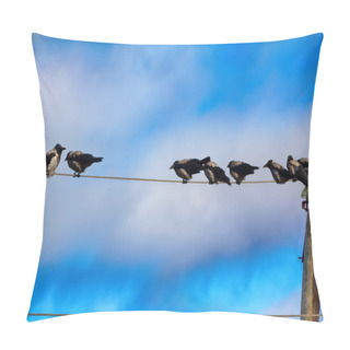 Personality  Hooded Crows (Corvus Cornix) Are Also Migratory Birds - Flock Of Crows Resting On Electric Wires. Comfortable State Of Plumage Pillow Covers