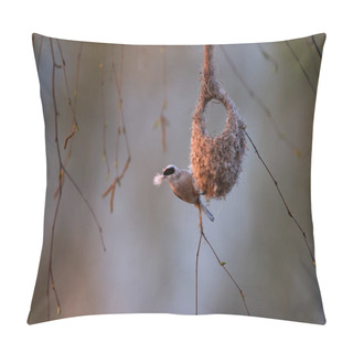Personality  Spring In Nature Theme. European Penduline Tit, Remiz Pendulinus, Building Its Amazing Hanging Nest In A Willow Tree Above Water Surface. Spring In Europe. Morava River Region, Czech Republic. Pillow Covers