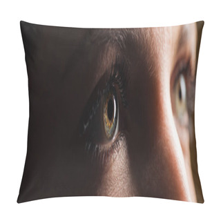 Personality  Close Up View Of Human Eye Looking Away In Dark, Panoramic Shot Pillow Covers