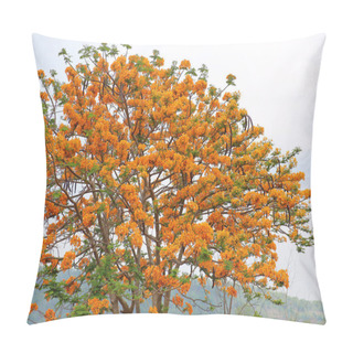 Personality  Flame Tree Or Peacock Flower With Country Road Pillow Covers