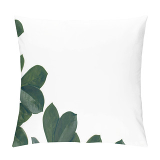 Personality  Ficus Leaves With Copy Space Pillow Covers