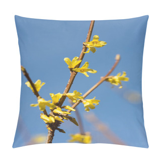 Personality  Blooming Yellow Forsythia Pillow Covers