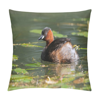 Personality  Little Grebe (Tachybaptus Ruficollis) In A Disused Canal Thick With Vegetation Pillow Covers