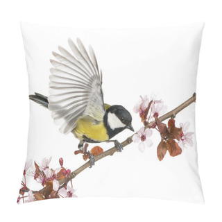 Personality  Male Great Tit Taking Off From A Flowering Branch - Parus Major, Pillow Covers