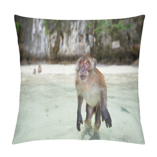 Personality  Monkey Waiting For Food In Monkey Beach, Phi Phi Islands, Thaila Pillow Covers
