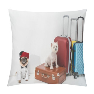 Personality  Dogs With Suitcases Pillow Covers