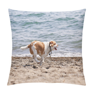 Personality  Dog Running On Beach Pillow Covers