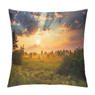 Personality  Dawn In A Meadow Pillow Covers