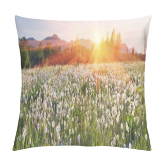 Personality  Dandelions Field At Sunrise Pillow Covers