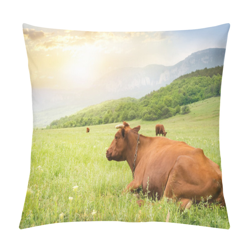 Personality  Cows on green meadow.  pillow covers
