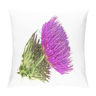 Personality  Milk Thistle Flower Isolated On White Background Pillow Covers