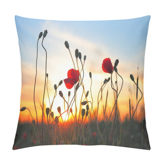 Personality  Red Poppy Flowers At Sunset Pillow Covers