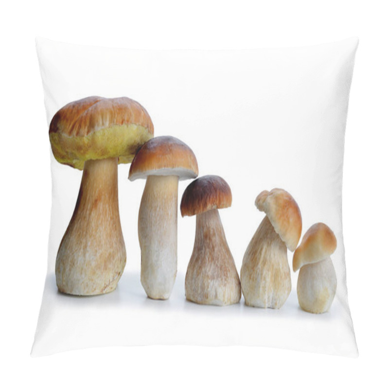 Personality  Edible mushroom Boletus. pillow covers