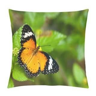 Personality  Tropical Butterfly Pillow Covers