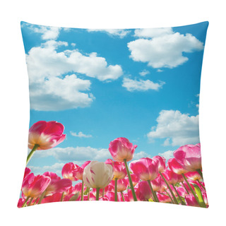 Personality  Beautiful Tulips Field In The Netherlands Pillow Covers