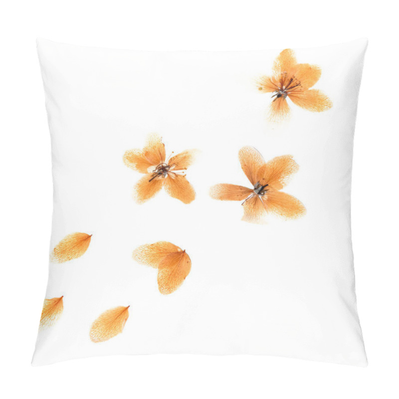 Personality  Transparent dry flowers of apple pillow covers
