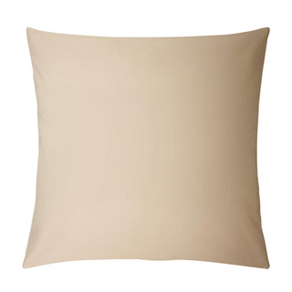 Personality  Flesh Color Background With Gradient On Edges Pillow Covers