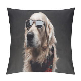 Personality  Cool And Fashionable Dog Golden Retriever Breeds In Dark Background Pillow Covers