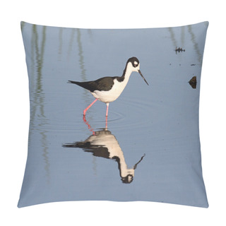 Personality  Black-necked Stilt (Himantopus Mexicanus) Pillow Covers